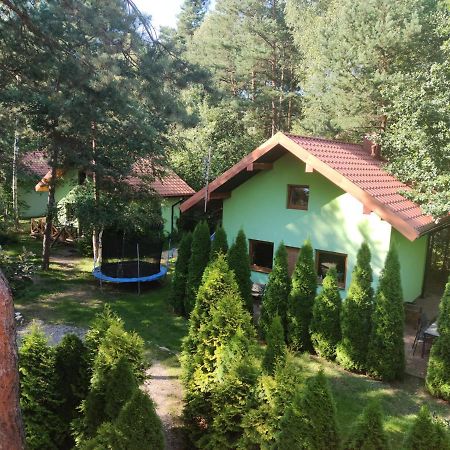Вилла Niezapominajka-Jura Niegowa Экстерьер фото