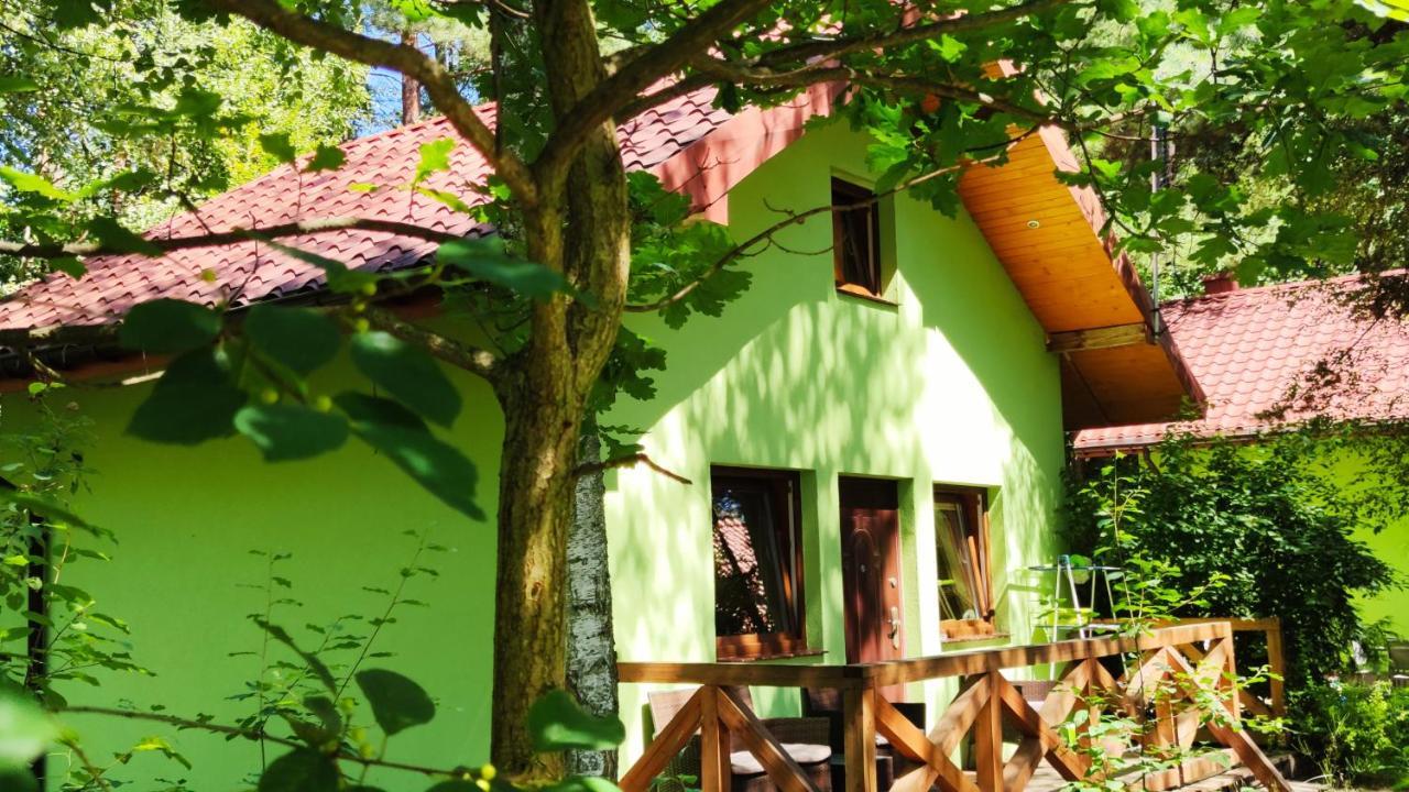 Вилла Niezapominajka-Jura Niegowa Экстерьер фото