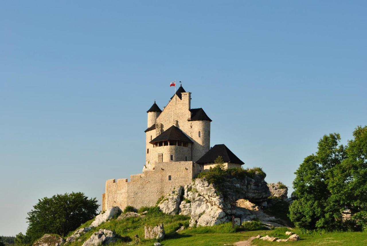 Вилла Niezapominajka-Jura Niegowa Экстерьер фото